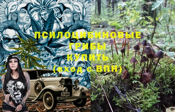 альфа пвп Чекалин